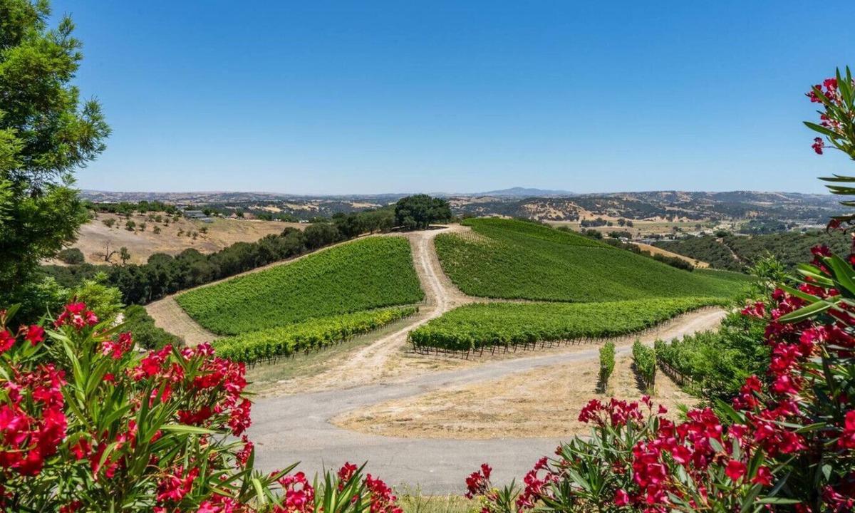 Paso Robles House | The Source Home @ Copia | vineyard, bbq, jacuzzi