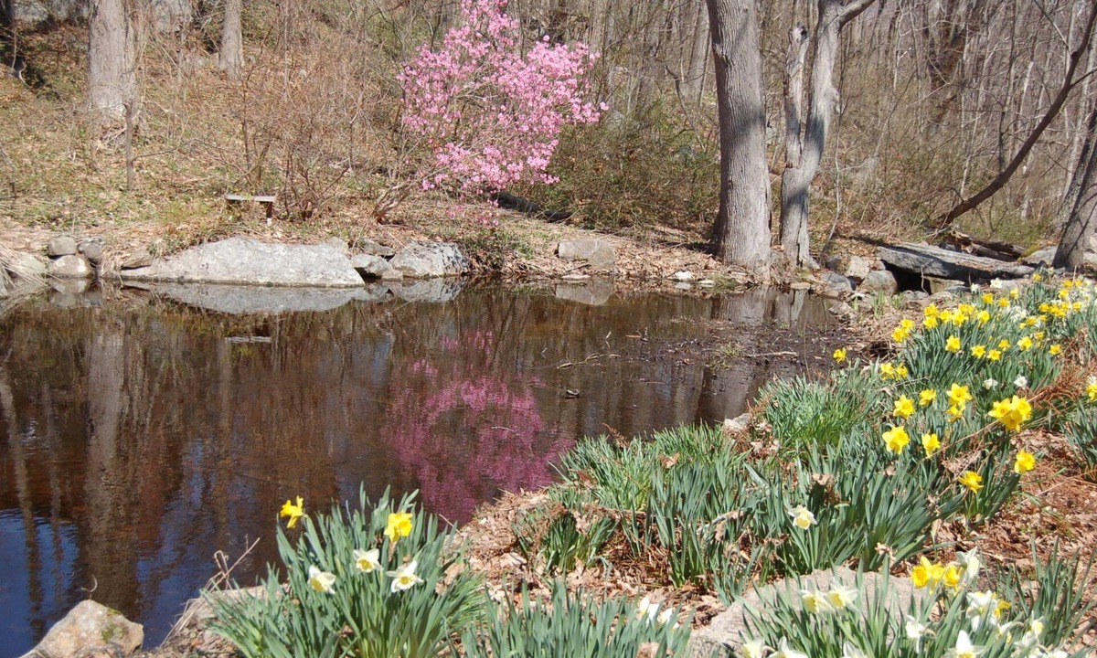 Rockport Apartment | Walk to the ocean, very private. Secluded, woodsy location.