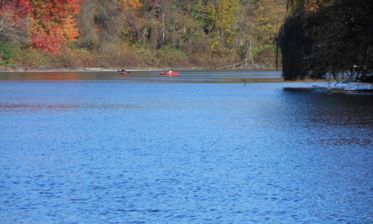 Red Hook Apartment | WELCOME TO THE COUNTRY - LAKE FRONT PROPERTY - THE FOX DEN STUDIO