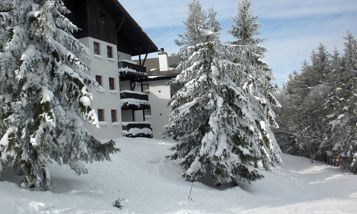 Edray Condo | Whistlepunk #24: 4 Bedroom, 3 Bath: Slope Side, Wood Fireplace.