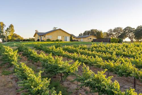 Paso Robles House | Wild Vines