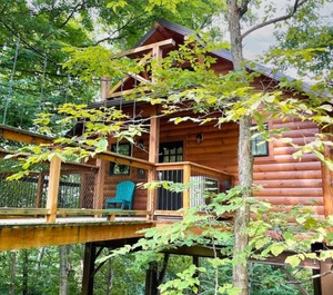 Treehouse 
