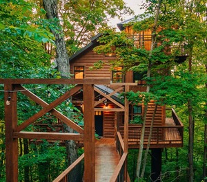 Treehouse 