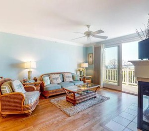 Salt Meadows Fenwick Island 