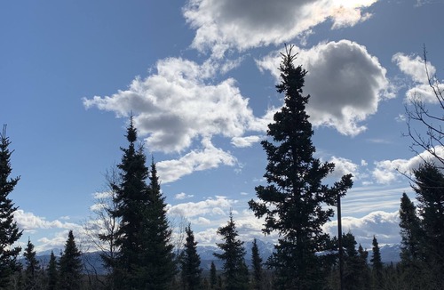 Healy House | 3 Bedroom Private Home Near Denali National Park