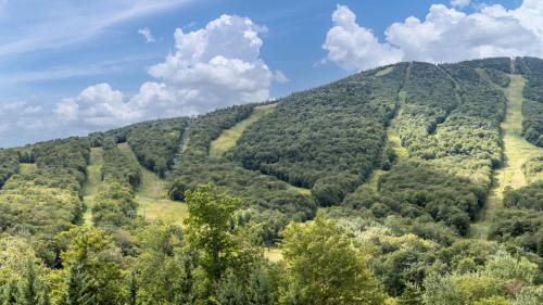 Stowe Area Resort | 374 Lodge At Spruce Peak Ski In Ski In Ski Out King Studio By Stowe Mountain Rentals