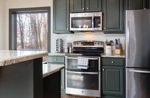 Chestnut Springs House | 4 BR cabin mins to trails & breweries pets welcome