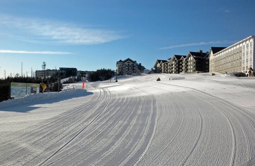 Snowshoe Apartment | 47 m² Studio flat ∙ 1 bedroom ∙ 4 guests