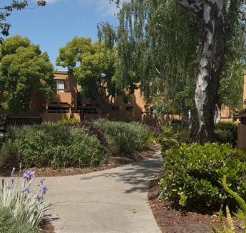 Belmont Apartment | 711 Apt