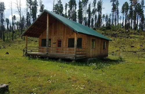 Blue Cabin | A peaceful setting for guests to relax and unwind.