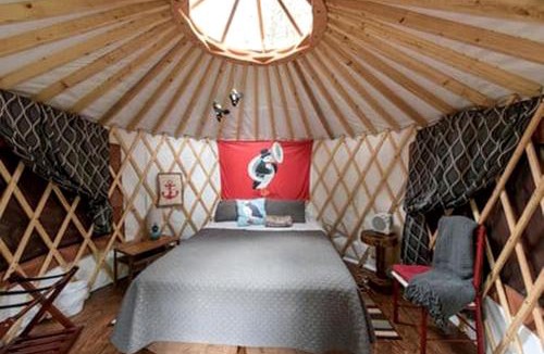 Bear Creek Other | Alaskan Yurt Glamping, Perfect for a Getaway near Seward