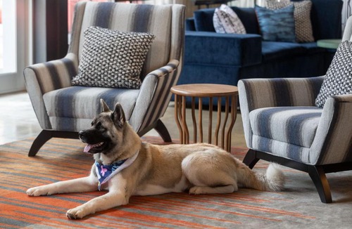 Beachwood Hotel | Aloft by Marriott Cleveland Beachwood