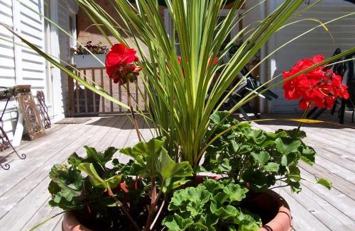 East Marion Bed & Breakfast | Arbor View House Bed and Breakfast