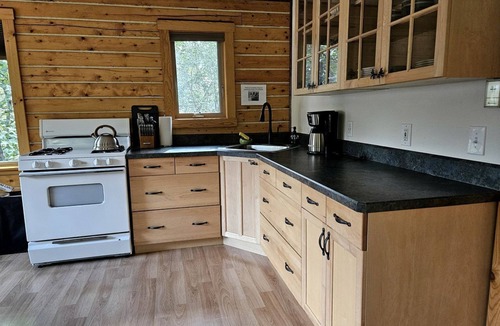 McCarthy Cabin | Beautiful Alaskan-Style Log Cabin near Wrangell St. Elias National Park and Preserve in McCarthy, Alaska