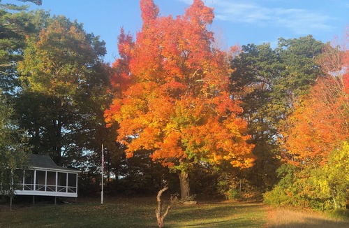 Chester Cottage | Beautiful country Cottage located on Apple farm. Beautiful fall foliage!