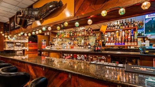 Homer Hotel | Best Western Bidarka Inn