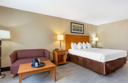 Danbury Hotel | Best Western Danbury/Bethel