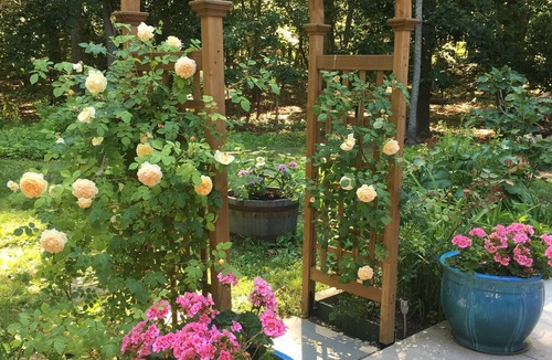 Town of Southold Town House | Between the Vineyard and Sea. Walk to sandy beach from this charming cottage.