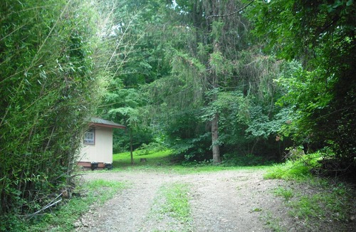 Front Royal Cabin | Blue Mountain Cabin, secluded, perfect for couples, near main road