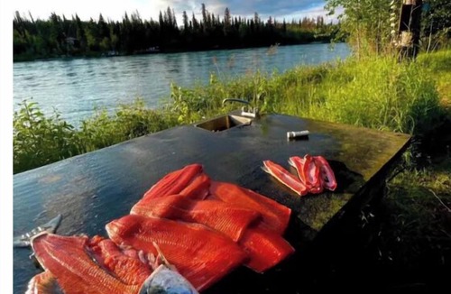 Sterling Cabin | Cabin 3 on the Kenai River