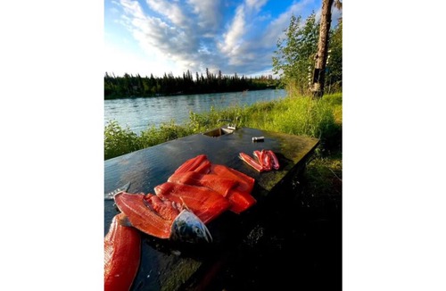 Sterling Cabin | Cabin 5 on the Kenai River
