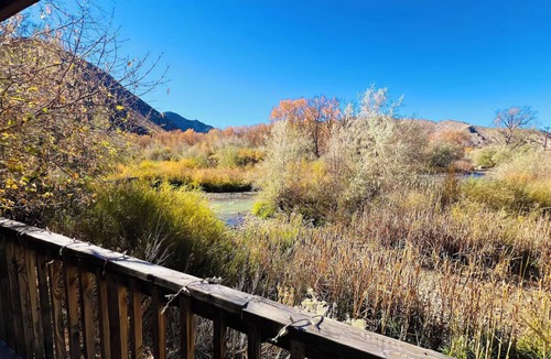 Sevier Cabin | Cabin in Sevier with patio and fireplace