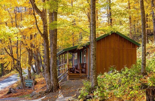 Allegheny Mountains Cabin | Cabin in the woods w/WIFI close to Monongahela National Forest