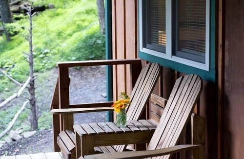 Allegheny Mountains Cabin | Cabin in the woods w/WIFI close to Monongahela National Forest