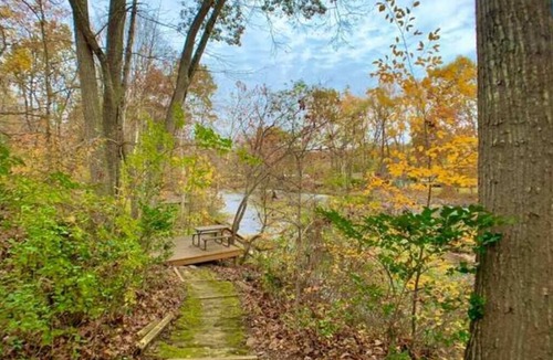 Covington Cabin | Cabin on the Jackson River with dock, deck, firepit and sauna. Pet friendly!