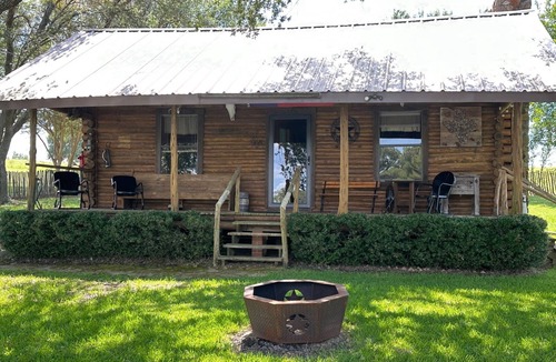 Minden Cabin | Charming 1-bedroom cabin over looking a pond & located on a cattle ranch