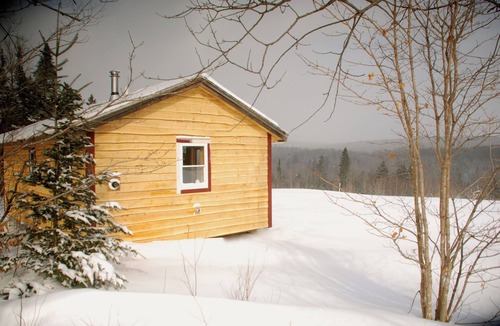 Green Mountains Cabin | Charming 1-bedroom Tiny house in Eden Mills. Spectacular views, private setting.