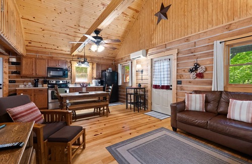 Birdseye Cabin | Charming cabin that has beds for 8 guests, hot tub, electric fireplace, firepit