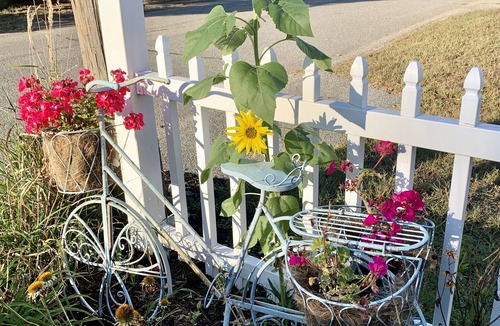 Cedar Bushes House | Charming Manomet Beach House with fenced yard & Private Dog Friendly Beach 🐾