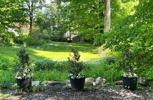 Litchfield Historic District House | Charming Victorian - Walk to Litchfield Green