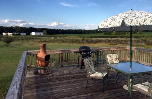 Berlin Center Cottage | Charming Weekend Getaway Located on a Vineyard near Cleveland, Ohio
