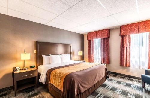 Ballston Hotel | Comfort Inn Ballston