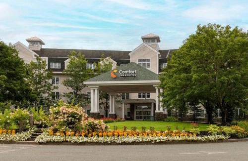 St. Johnsbury Center Hotel | Comfort Inn & Suites Near Burke Mountain