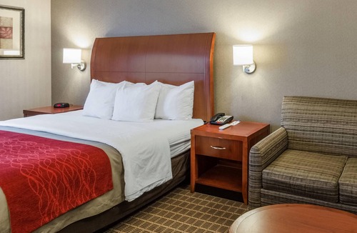 West Springfield Hotel | Comfort Inn & Suites West Springfield