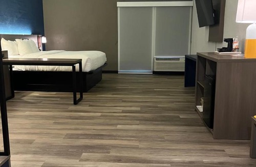 Clearwater Hotel | Comfort Suites Clearwater - Dunedin