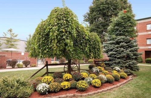 Mineralwells Hotel | Comfort Suites Parkersburg South