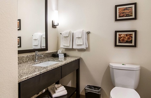 Wooster Hotel | Comfort Suites Wooster near University Campus