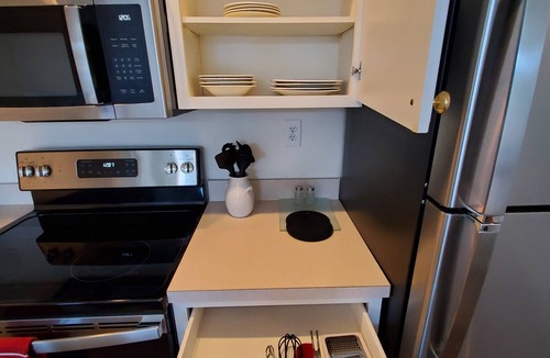 Dublin Apartment | Cozy 1-bedroom corporate apartment in fabulous Dublin with WiFi, Roku!