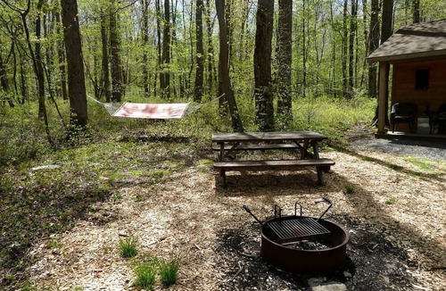 Crellin Cabin | Cozy Cabin Rental in the Woods near Swallow Falls State Park, Maryland