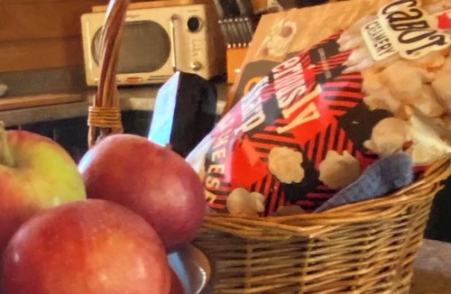 Andover Cabin | Cozy Vermont Cabin at Trail End Ranch! The Best of VT is all around you!