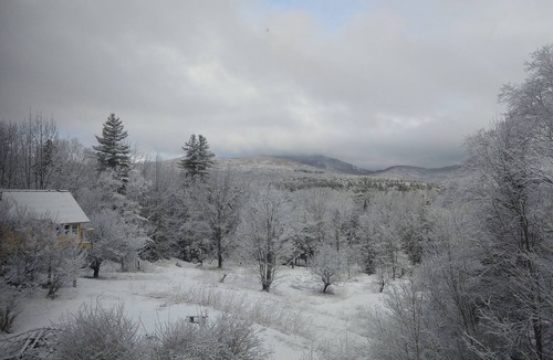 Waterbury Cabin | Cozy warm treehouse with Amazing views! Winter Paradise! Hike from cabin