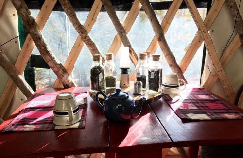 Chatham Other | Cozy Yurt in the Peaceful Woods in Chatham, NH