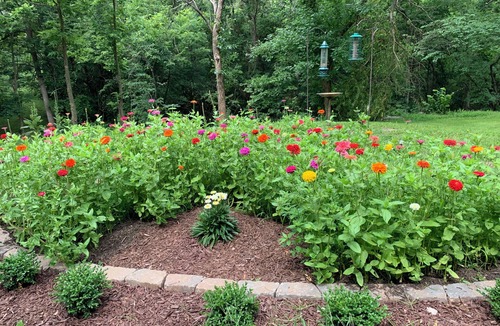 Drexel Cabin | Creekside Country Estate, Lower Level Walk-Out, Stars, Trails & Fire Pit