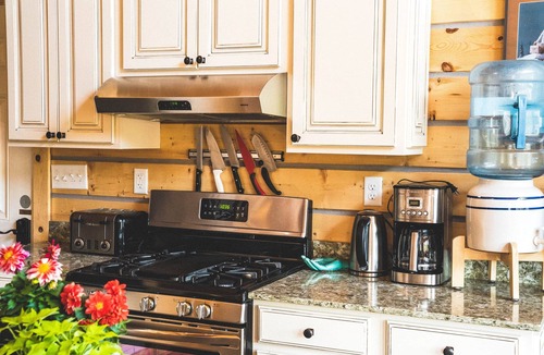 Healy Cabin | Denali Bear Cabin w/Hot Tub, Entire Cabin, Private, 3 beds