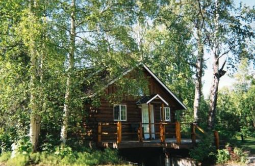 Talkeetna Cabin | Denali Fireside Cabin & Suites