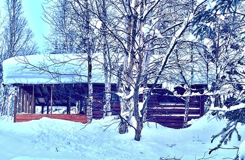 Chase House | Denali View Cabin-HCRL